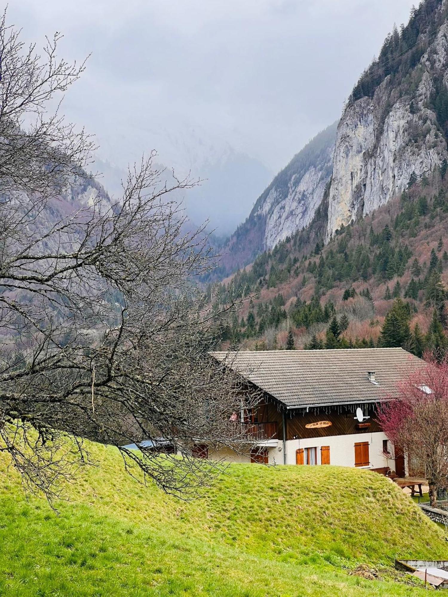 Chalet Du Bonheur Villa Bonnevaux  Buitenkant foto